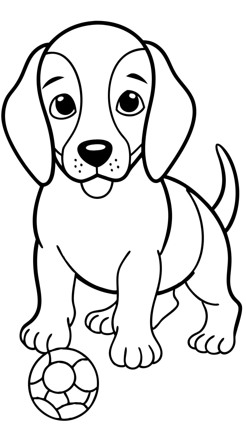 coloriage beagle